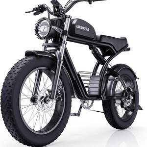 V8 48V 750W 20 Inch 40 Mph US EU Warehouse Full Suspension Fat Tire E Bike Ebike Fatbike Electric Bicycle