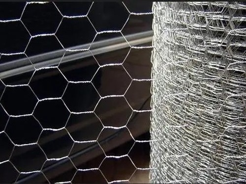 Galvanized Iron Fencing Poultry Netting Hexagonal Wire Mesh Roll for Chicken