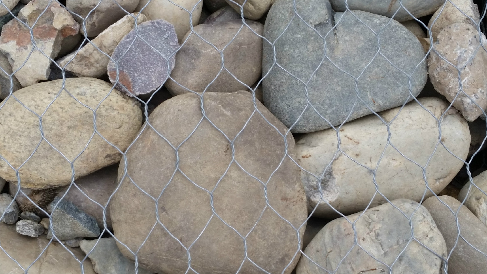 Galvanized Iron Fencing Poultry Netting Hexagonal Wire Mesh Roll for Chicken