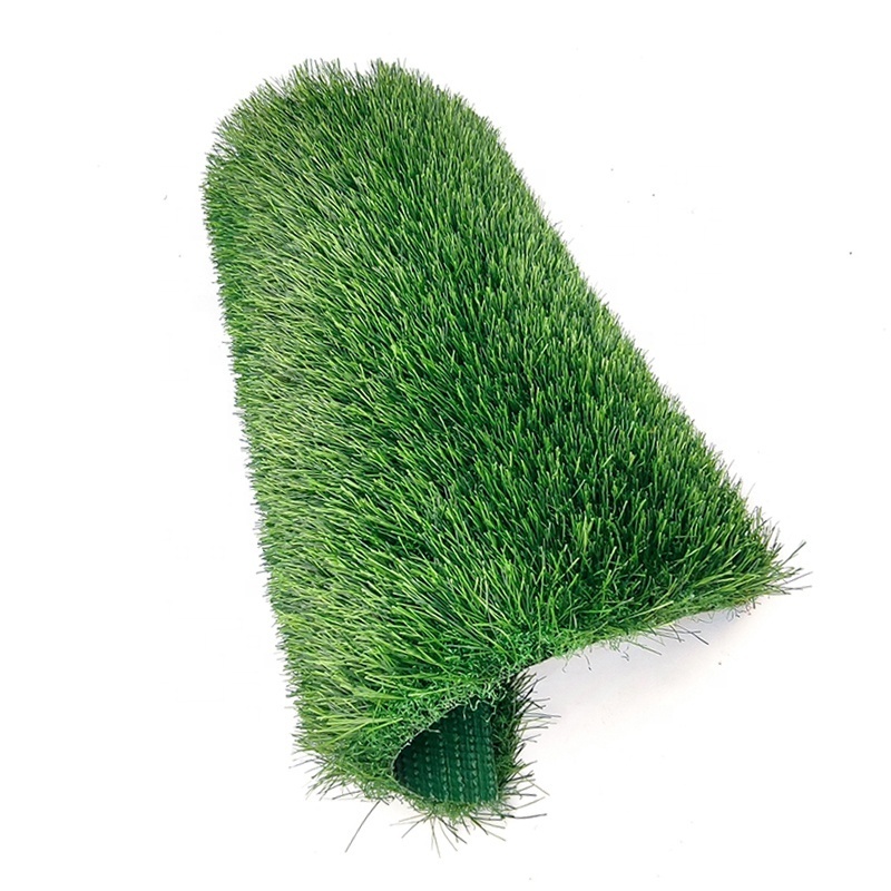 High quality turf grass roll