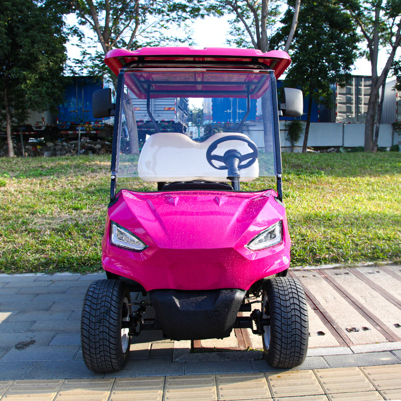 High Quality Factory Outlets Support Customized Green Pink New 48V 5KW 2-Seat Mini Golf Cart CE