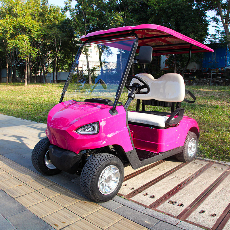 High Quality Factory Outlets Support Customized Green Pink New 48V 5KW 2-Seat Mini Golf Cart CE