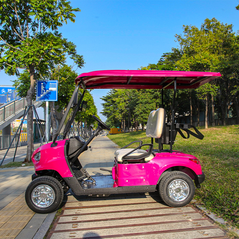 High Quality Factory Outlets Support Customized Green Pink New 48V 5KW 2-Seat Mini Golf Cart CE