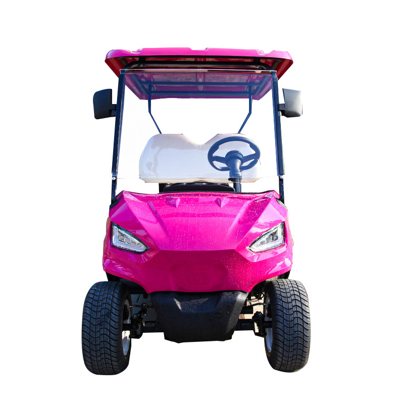 High Quality Factory Outlets Support Customized Green Pink New 48V 5KW 2-Seat Mini Golf Cart CE