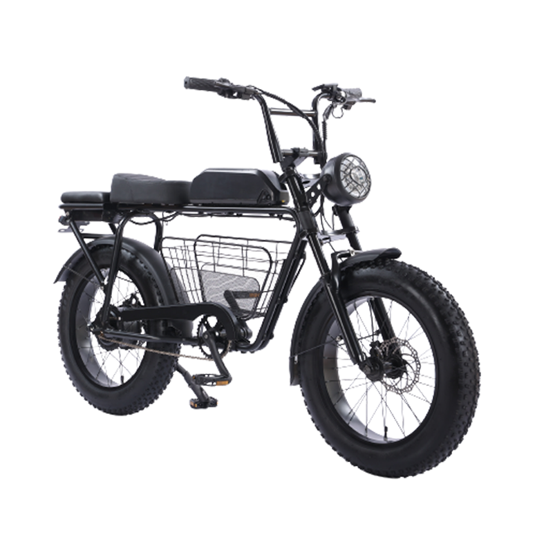 FULIKE New 2 Wheel 350w Fat Tire Cargo Electric Bike With Disk Brake Super Electric Bike For Adult