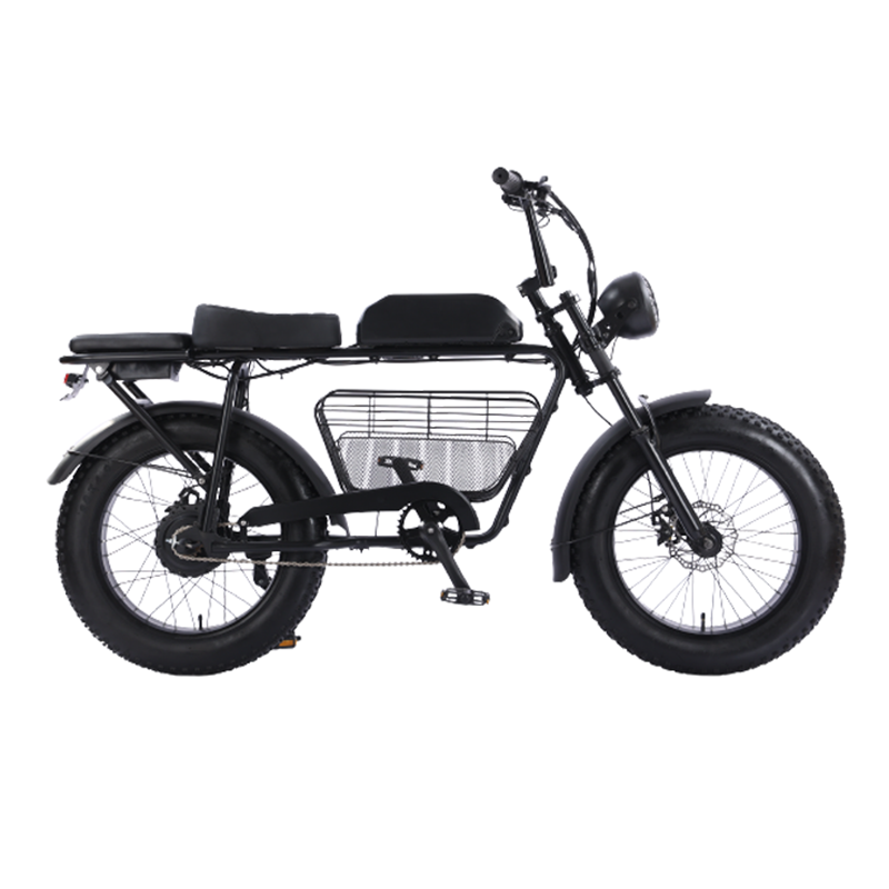 FULIKE New 2 Wheel 350w Fat Tire Cargo Electric Bike With Disk Brake Super Electric Bike For Adult