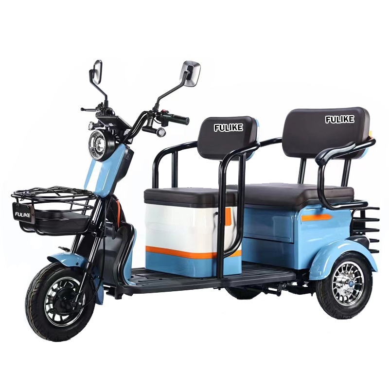 Factory Direct Philippines 3 Wheel Electric Enclosed Tricycle for 2 People