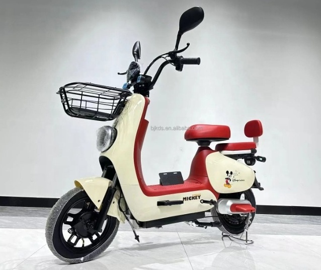 2021 new style CE certification electric tricycle bike for Adult two wheel