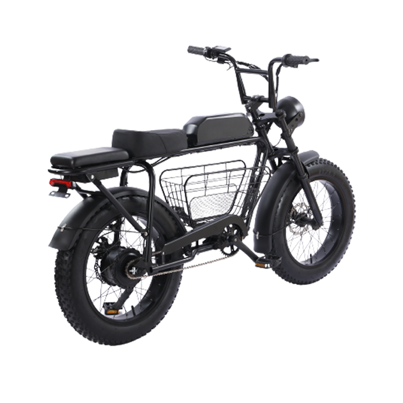 FULIKE New 2 Wheel 350w Fat Tire Cargo Electric Bike With Disk Brake Super Electric Bike For Adult