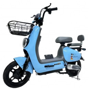 2021 new style CE certification electric tricycle bike for Adult two wheel