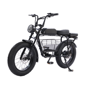 FULIKE New 2 Wheel 350w Fat Tire Cargo Electric Bike With Disk Brake Super Electric Bike For Adult