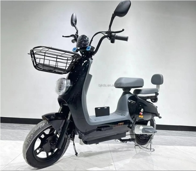 2021 new style CE certification electric tricycle bike for Adult two wheel