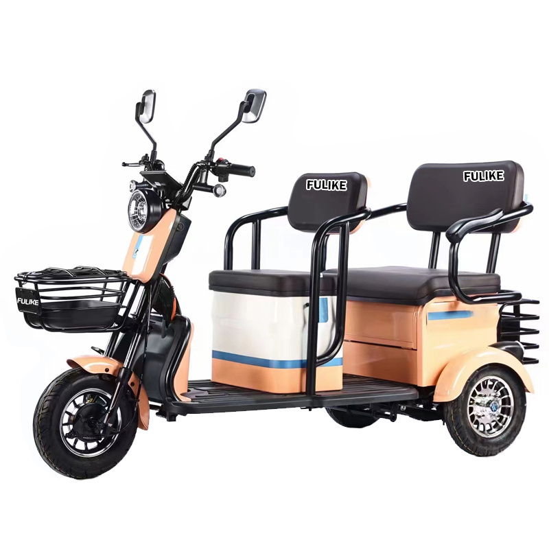 Factory Direct Philippines 3 Wheel Electric Enclosed Tricycle for 2 People