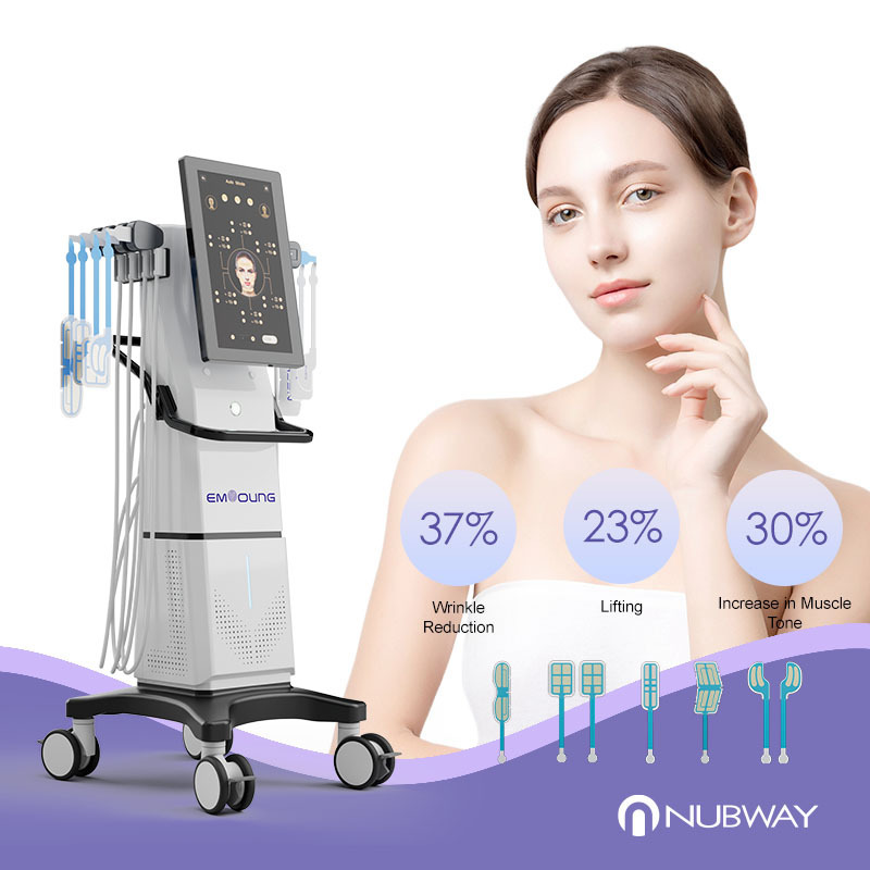 Professional Standing Wrinkle Remover Anti-aging Ems rf Face Massager Ems Sculpting Machine For Face