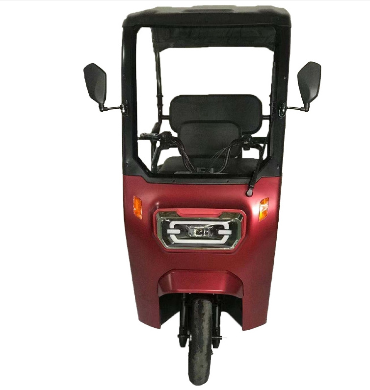 New 3 Wheels Elderly E-Trike Bicycle Bike Pedicab 48V 1000W Golf Electric Tricycle Three Wheel Scooter With Roof