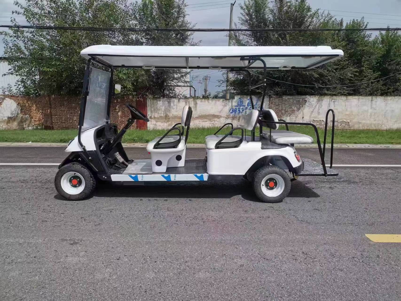 Electric Golf Cart 2/4/6/8 Seaters 60V100A UTV ATV Factory Directly