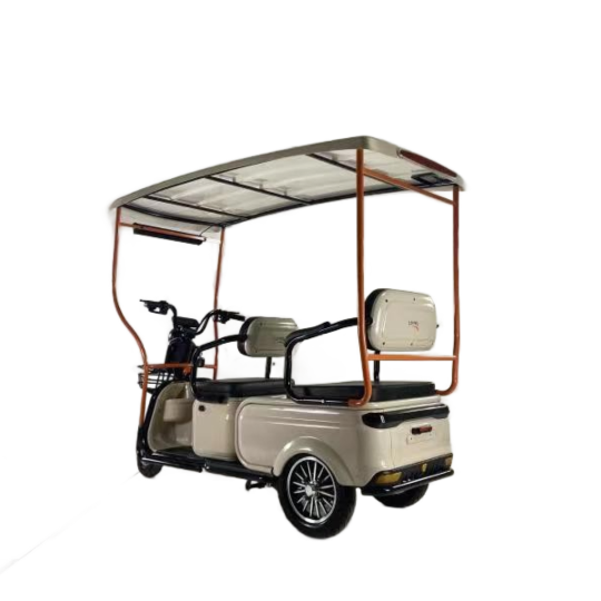 Sun Protection Parsnip Windproof Fat Tires Three Wheels Passenger Cargo 6 Seater Electric Tricycle Solar Panel Roof for Adults