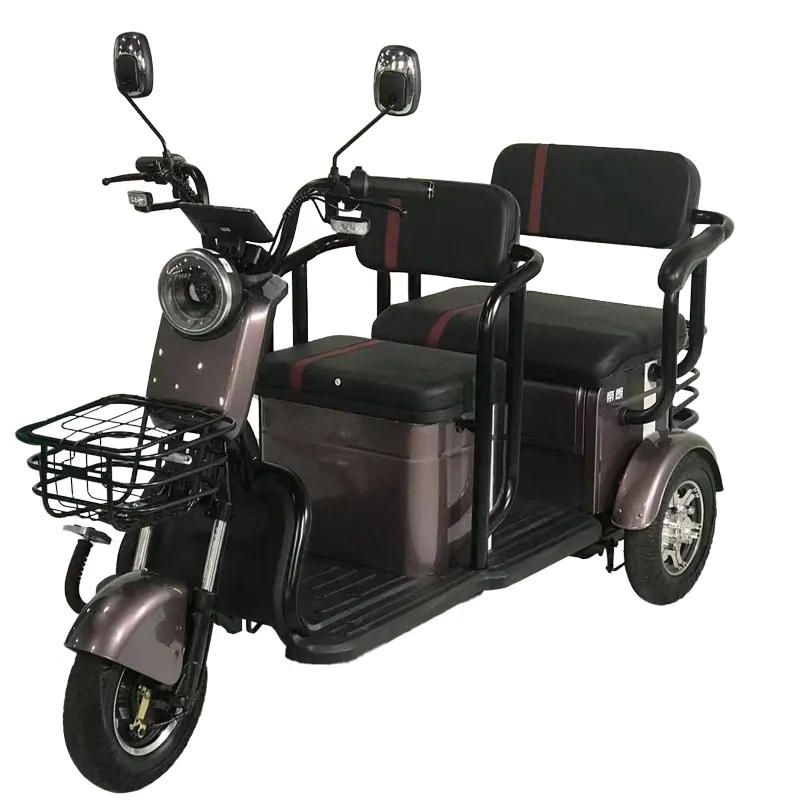 High Quality Cargo Fat Tire Large Size 600W 48V 60V Fat Tire Open Scooter Passengers 3 Wheels Electric Tricycles