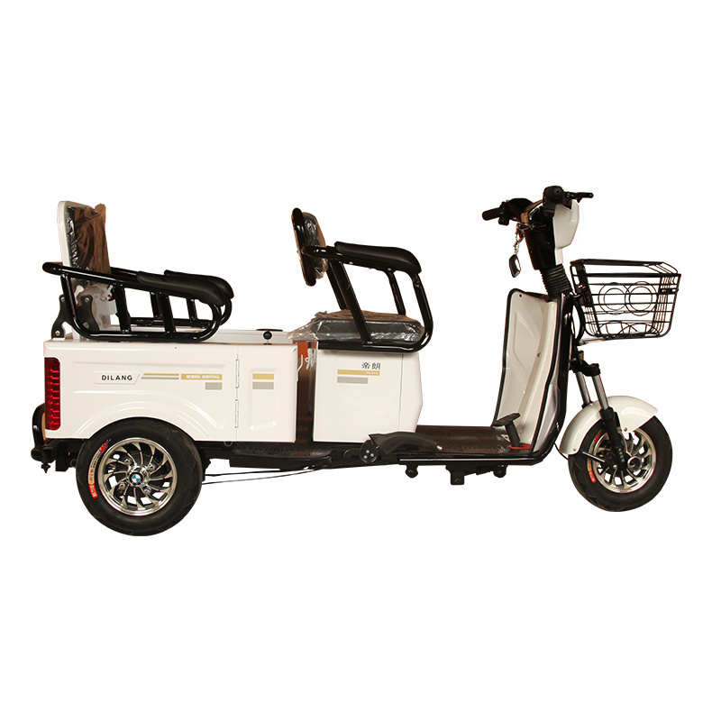 Hot Sale 500W Fat Tire Passenger Cargo Three Wheels Electric Tricycle Electric Trikes with Brushless Front Motor