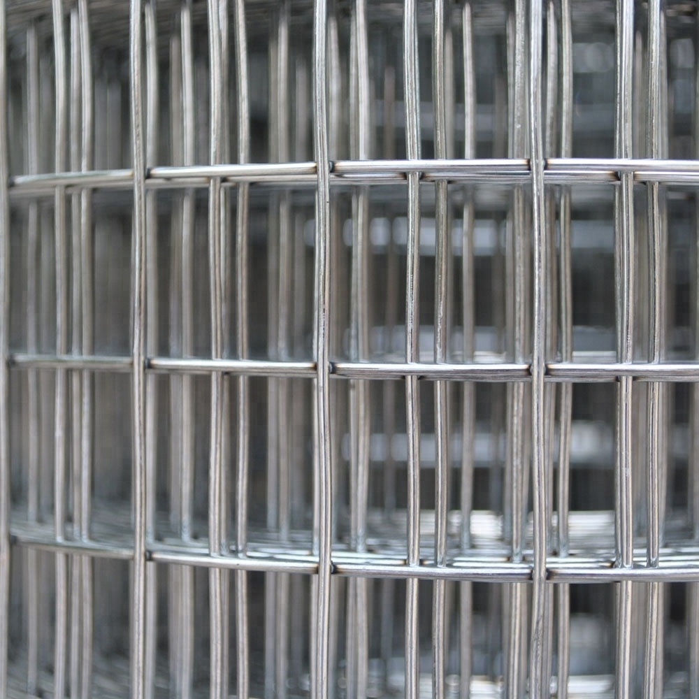 Stainless Steel Metal Welded Wire Mesh For Bird Cage Breed Mesh