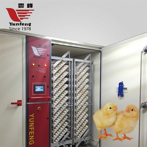 YFDF-192 single-stage 19200 eggs automatic incubator hatching machines