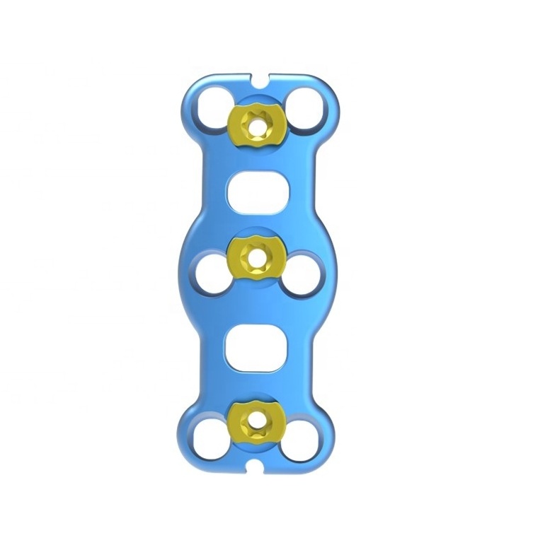 Titanium Anterior cervical plate interbody fusion cage plate for cervical spinal fixation