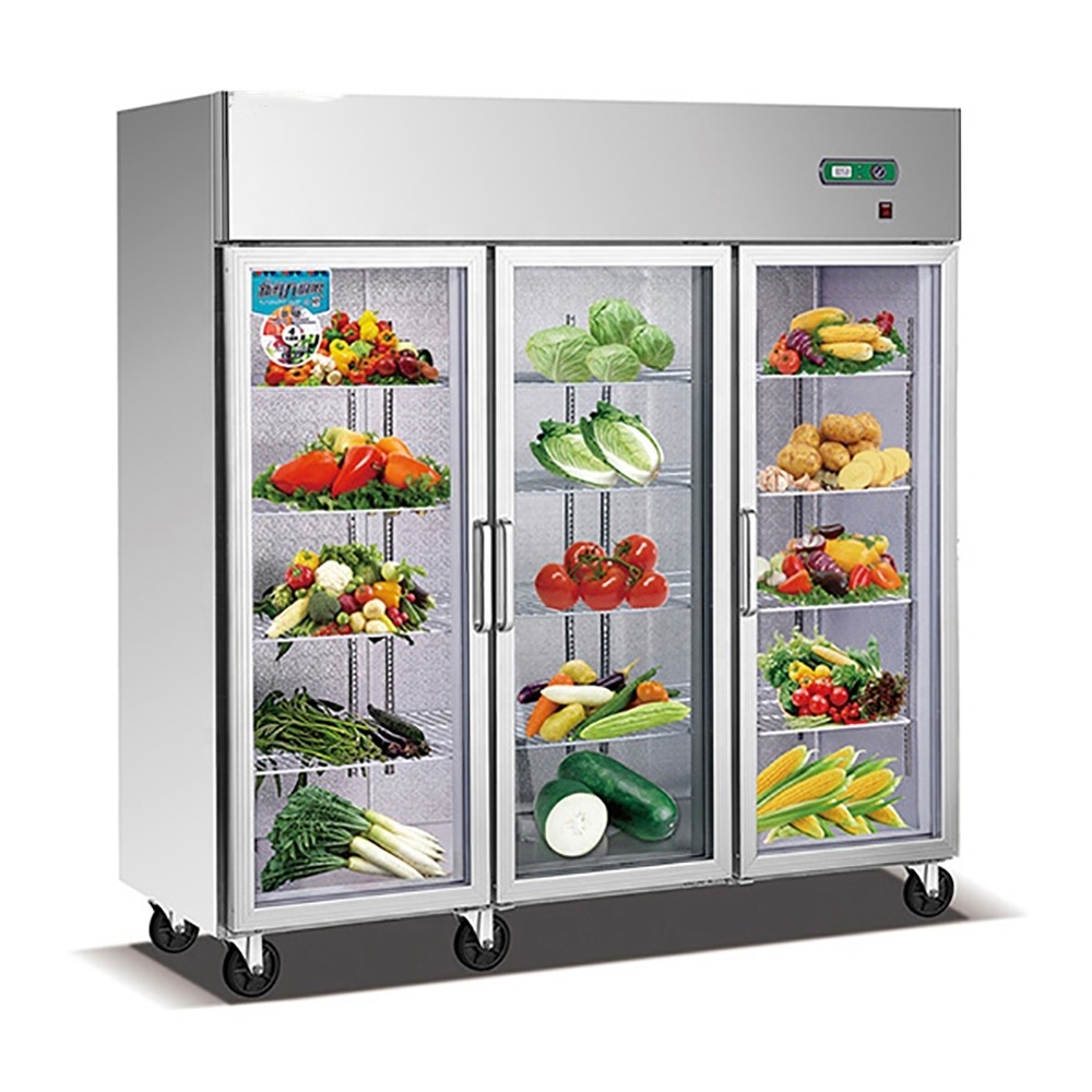 Display Vegetable Kitchen Freezer, Display Fresh Meat Refrigerator