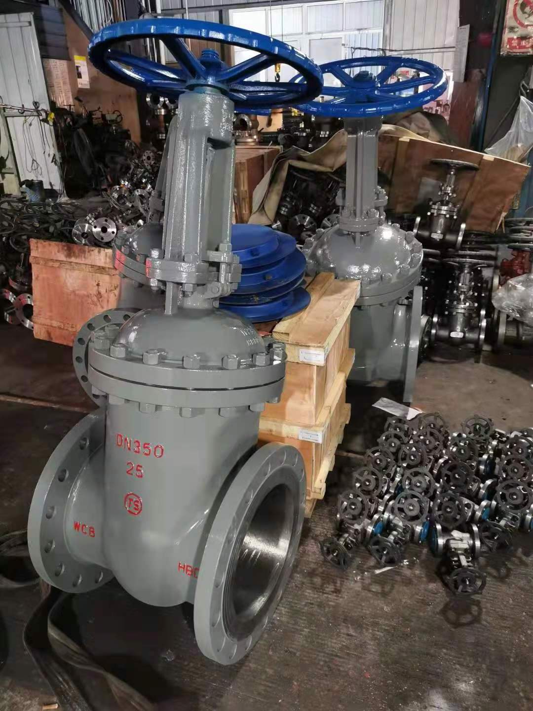 PN25 Wedge Carton Steel WCB Metal Seated Flanged Gate Valve DN500