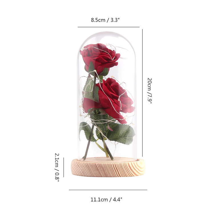 New design beauty and the beast 2PCS Artificial Silk Rose Preserved Eternal Roses with LED Lights in Glass Dome