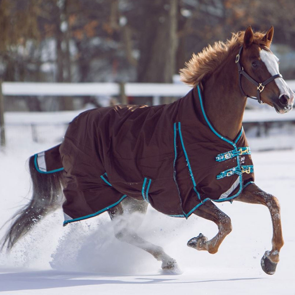 2024 New Design High Quality Equestrian Waterproof Breathable Horse Rug Horse blanket in low price OEM ODM Service