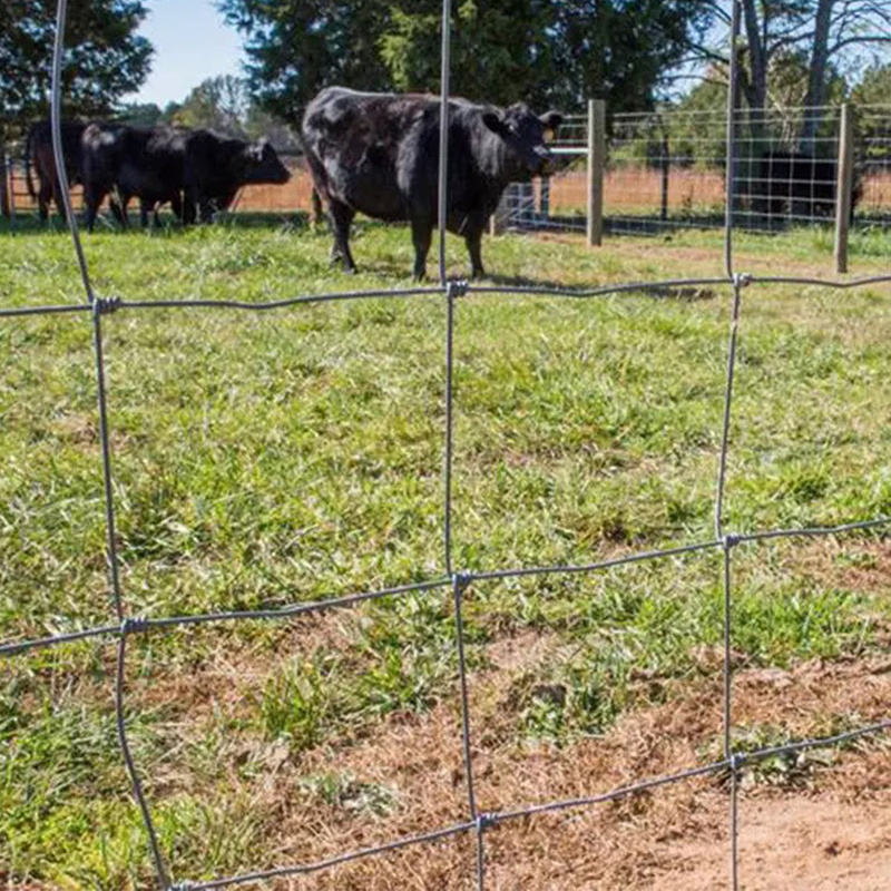 Wholesale Galvanized Livestock Panels Bulk Cheap Livestock Cattle Fence Goat Farming Field Fence 4ft