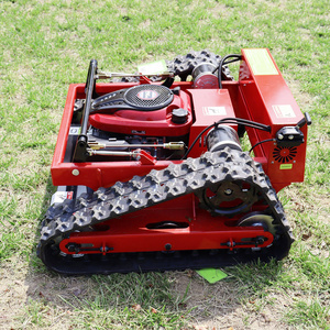 Garden Electric Remote Control Robot Lawn Mower With Snow Blower