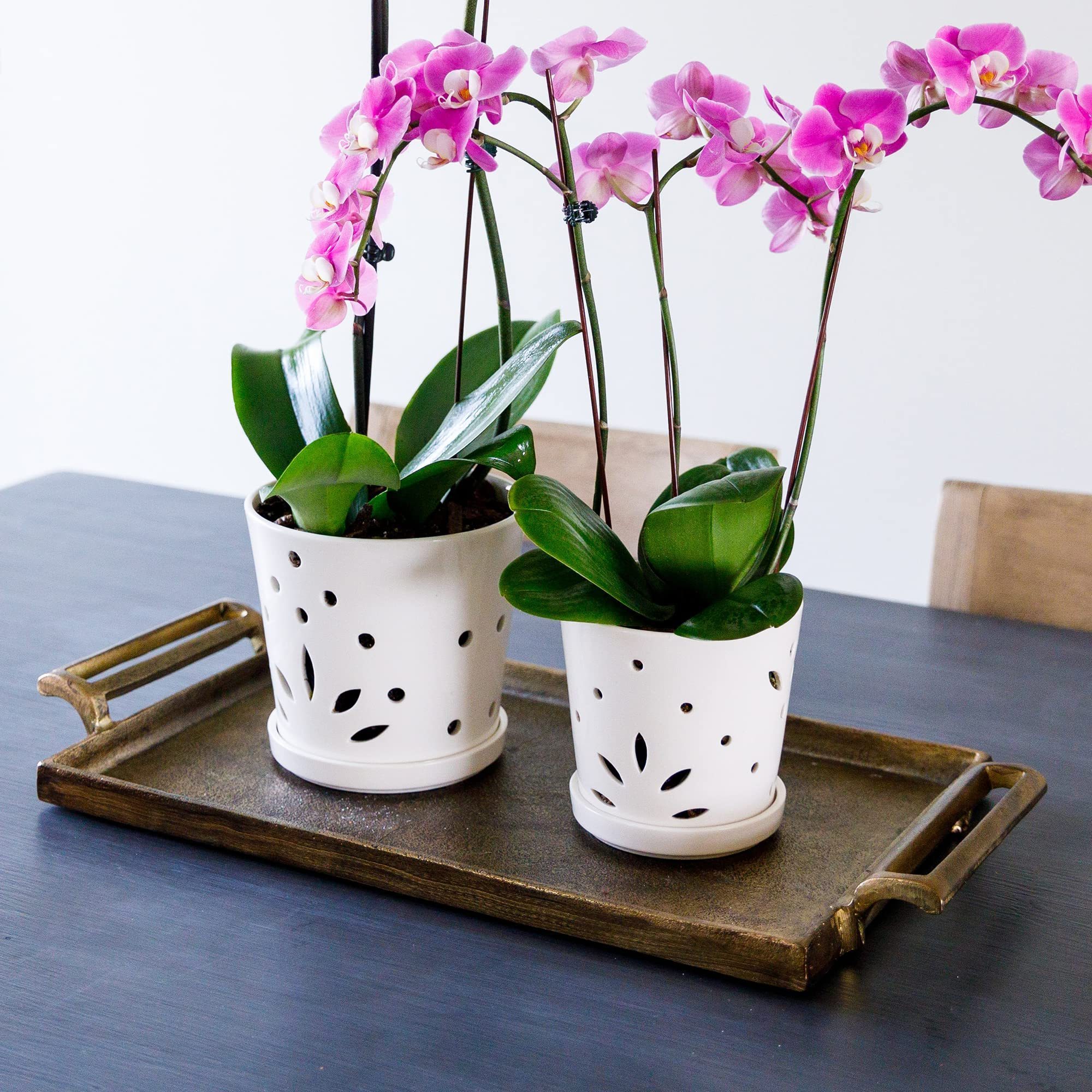 customize Ceramic Orchid Pot with Holes white Round Ceramic Flower Container Succulent Plant Planter Butterfly pots for orchid