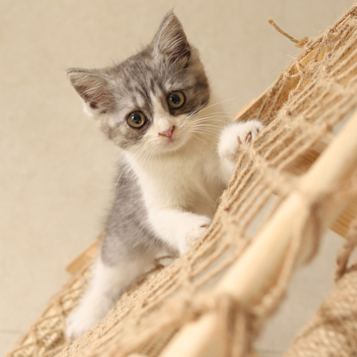 Cat Climbing Net Tree Tower Scratcher Climbing Jumping Frame Wooden Cat Nest Hammock Bed Suitable for Multi-cat Family