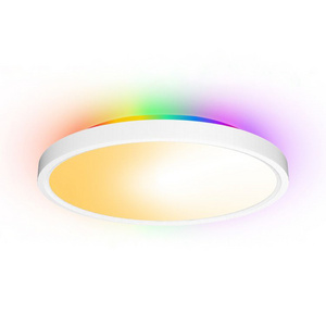 300mm Round Shape 30W Dimmable Wifi Smart Voice Control Living Room Lamp RGB Ceiling Light