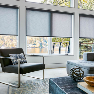 solar screen roller blinds sunscreen window shades