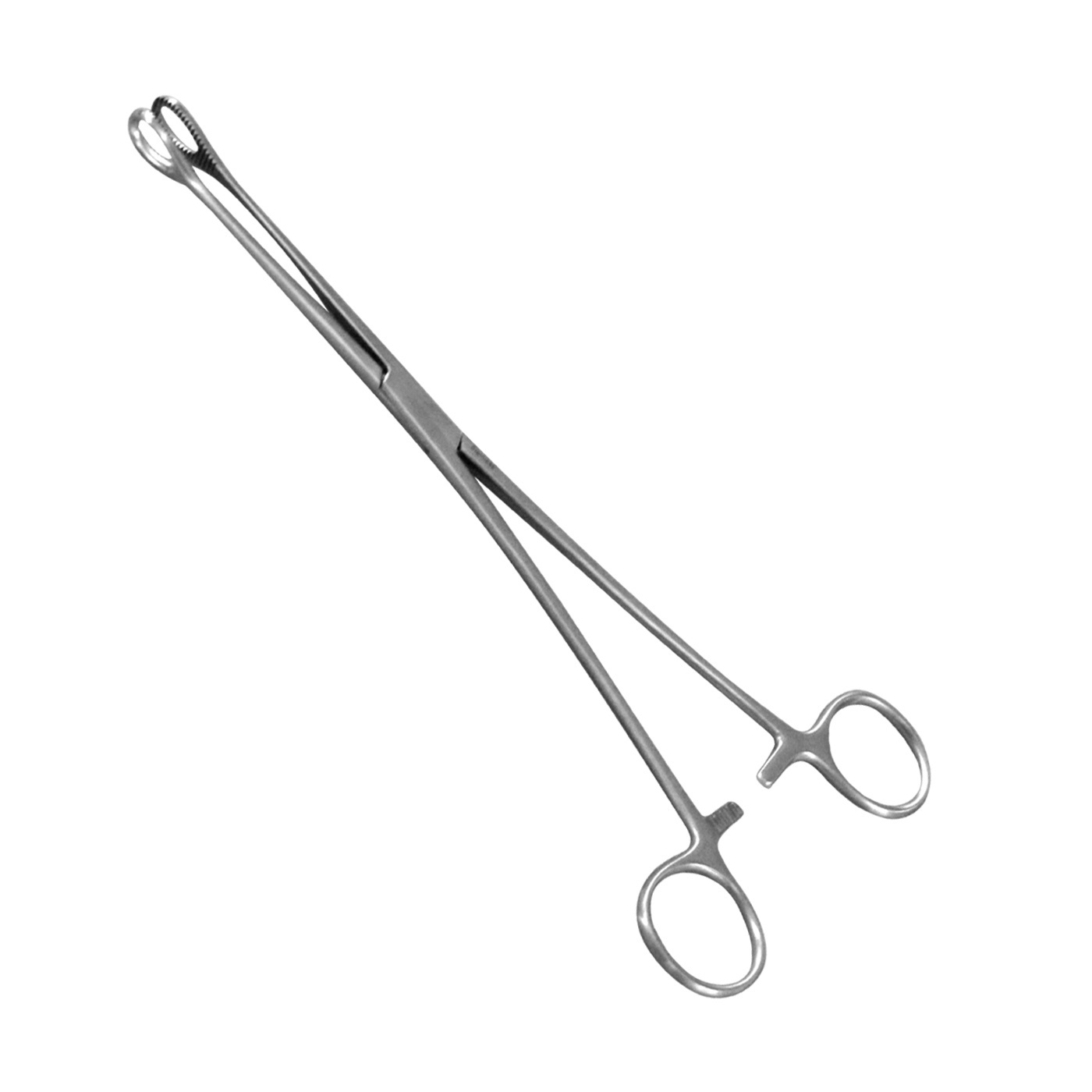 Professional Stainless Steel Made Sponge Holding Forceps Wholesale Price Hot Selling 2022 New Arrival Sponge Holding Forceps