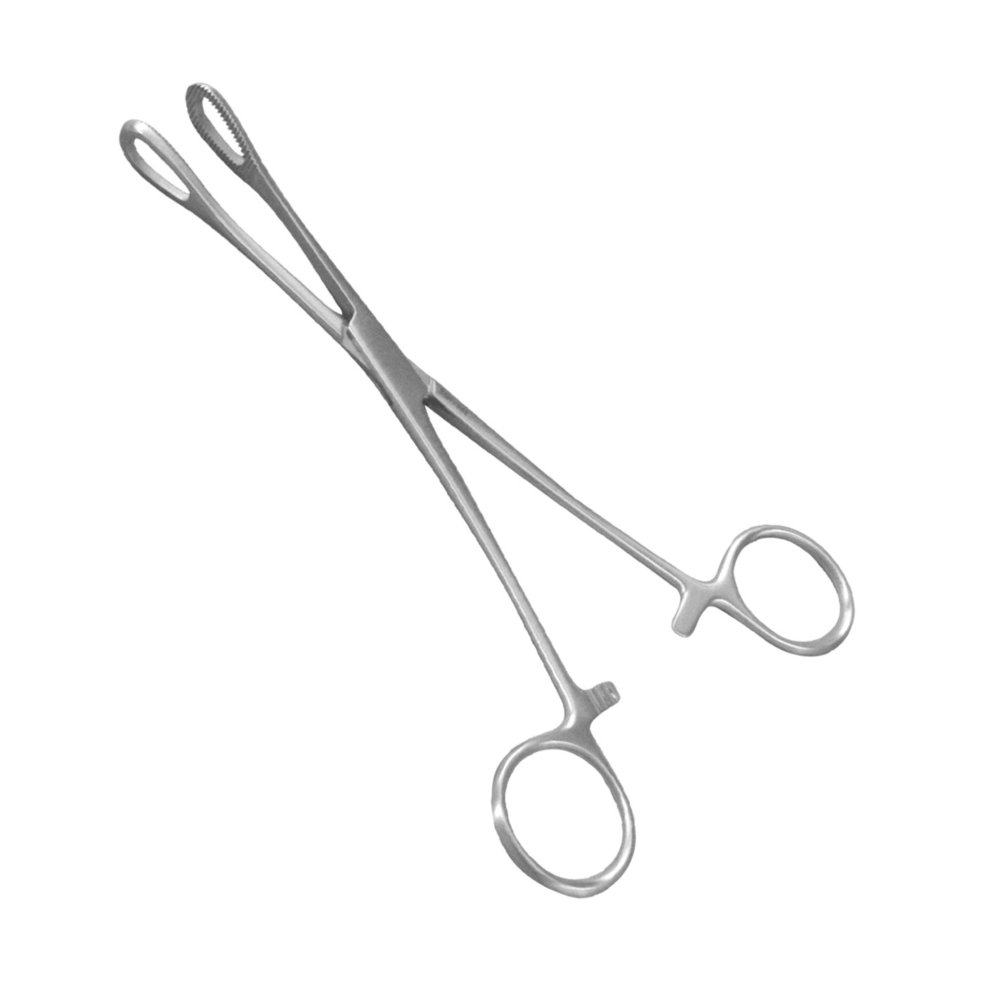 Professional Stainless Steel Made Sponge Holding Forceps Wholesale Price Hot Selling 2022 New Arrival Sponge Holding Forceps