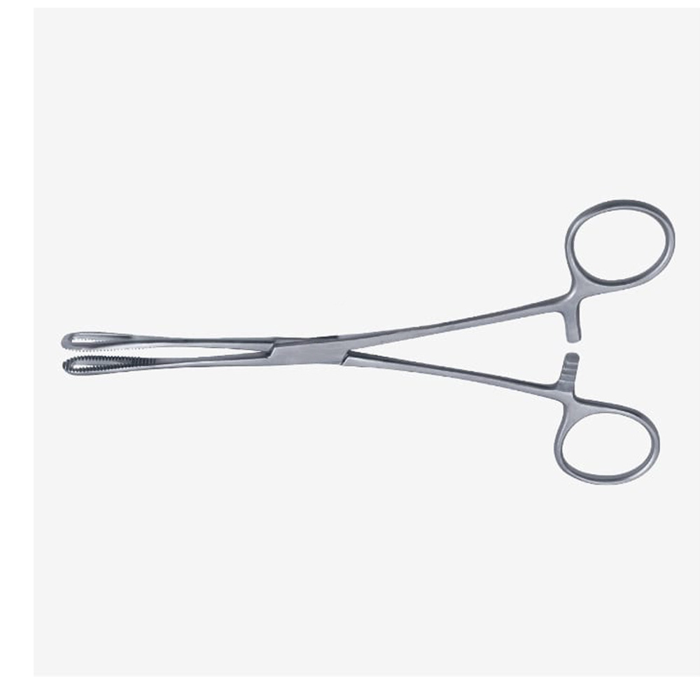 Professional Stainless Steel Made Sponge Holding Forceps Wholesale Price Hot Selling 2022 New Arrival Sponge Holding Forceps