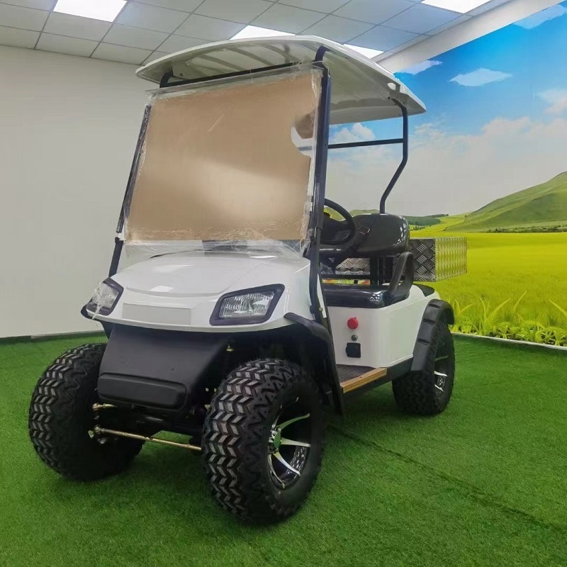 Hot sale cargo golf cart  2 passenger customizable lithium battery  golf cart price for sale