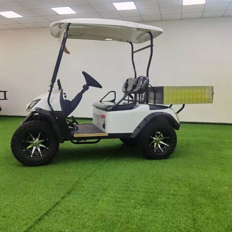 Hot sale cargo golf cart  2 passenger customizable lithium battery  golf cart price for sale