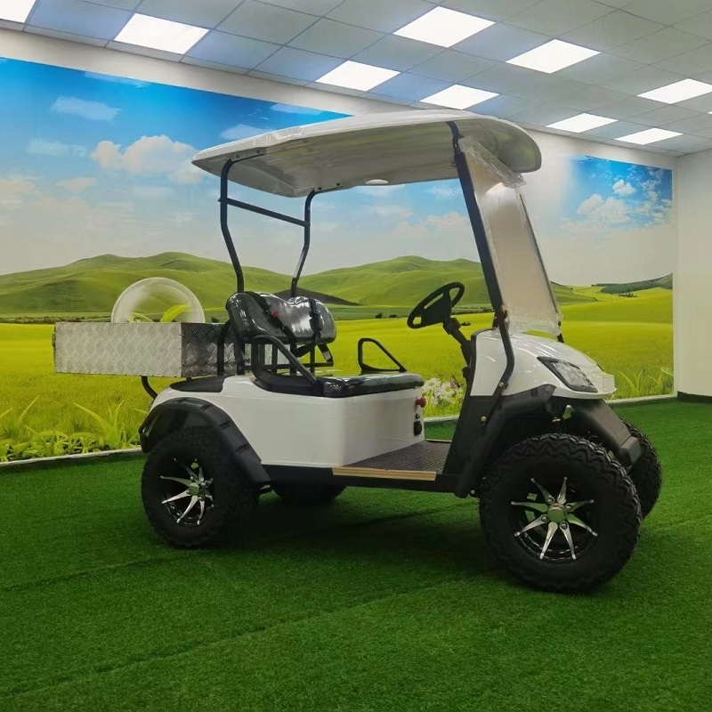 Hot sale cargo golf cart  2 passenger customizable lithium battery  golf cart price for sale