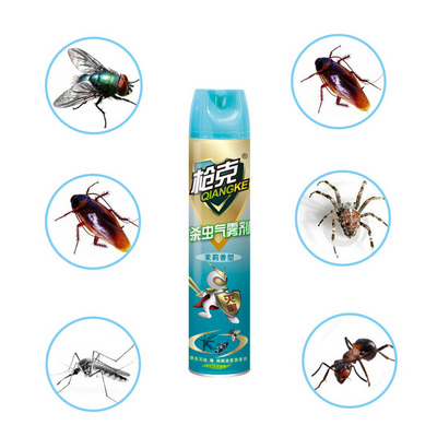 Africa Market Insecticide Spray Anti Mosquito Killer Spray Control Flying Insect