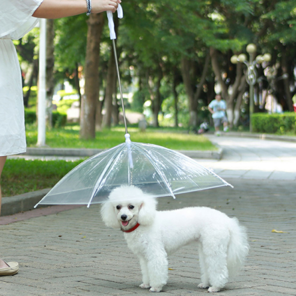 Factory Direct China Umbrella Dog Dog Umbrella Leash Dog Pug Umbrella Transparent