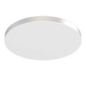 Rimless Disc Lights Adjustable 15 Inch Flush Mount Ceiling Light Fixture LED 5CCT Downlight 30W 2400LM 2700K-5000K Low Profile