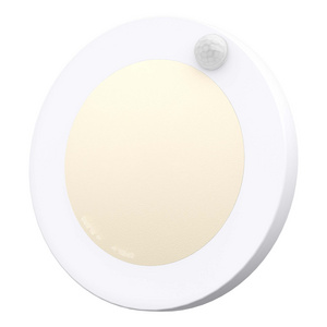 LED Ceiling Lights with Remote Motion Sensor with 15W 950LM Dimmable 4000K wired led closet light