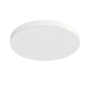 Rimless Disc Lights Adjustable 13 Inch Flush Mount Ceiling Light Fixture LED 5CCT Downlight 25W 2000LM 2700K-5000K Low Profile