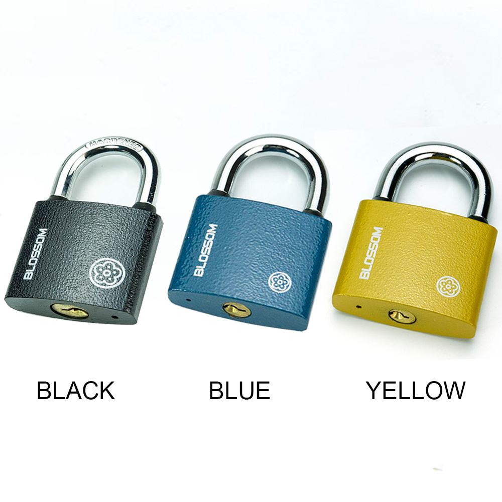 BC29 Blossom Lock Manufacturer In China High Class Customized Steel Padlock Anti-thelf Sample Available Iron Padlock Keyed Alike