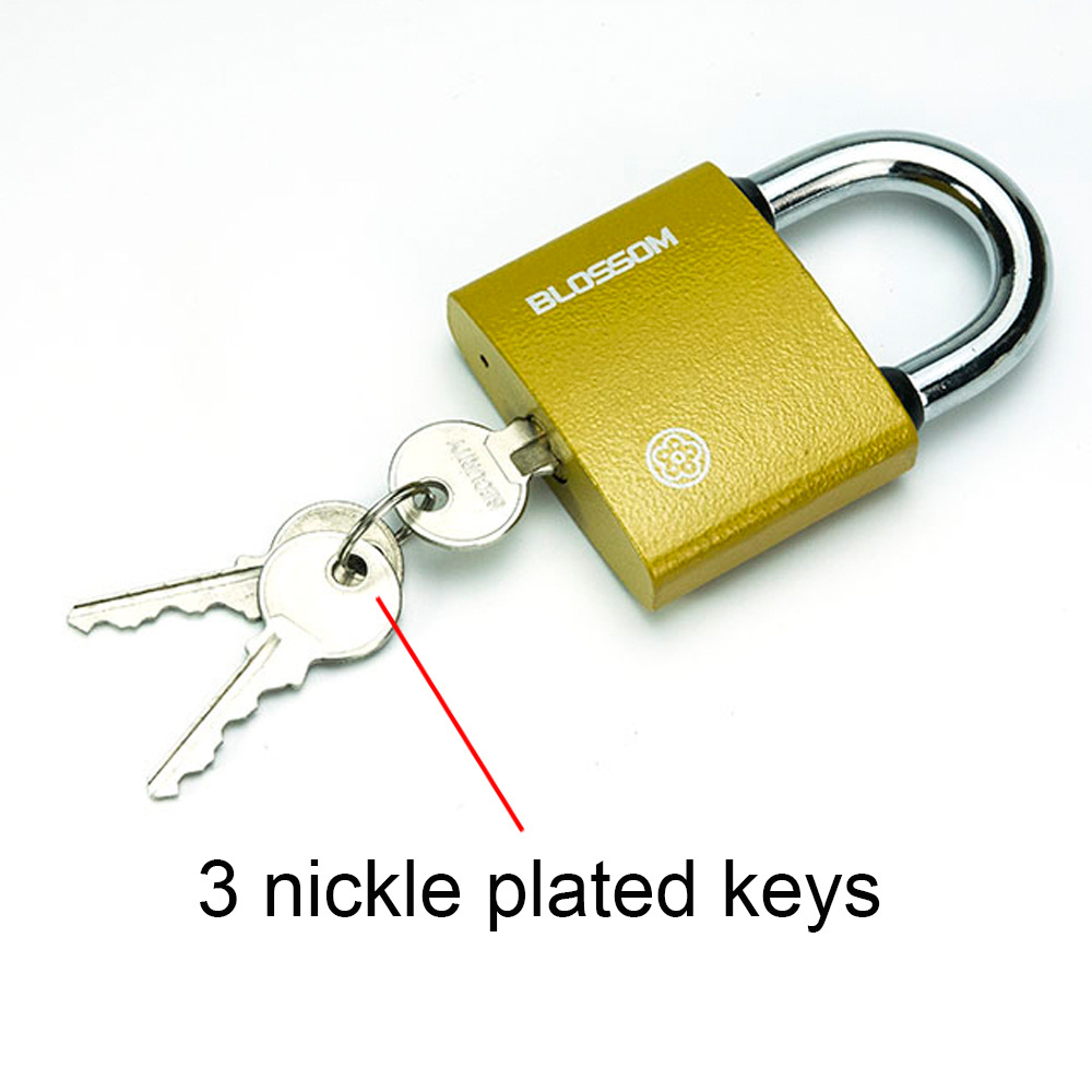 BC29 Blossom Lock Manufacturer In China High Class Customized Steel Padlock Anti-thelf Sample Available Iron Padlock Keyed Alike