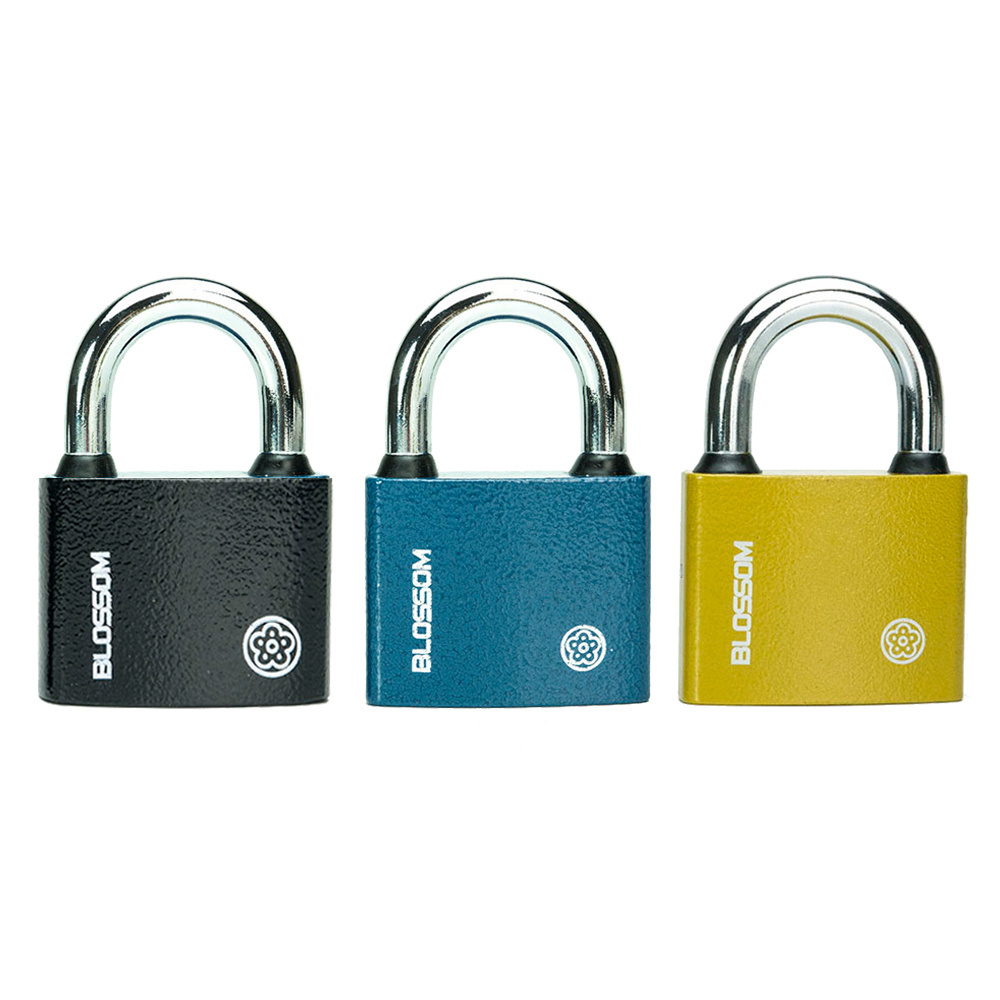 BC29 Blossom Lock Manufacturer In China High Class Customized Steel Padlock Anti-thelf Sample Available Iron Padlock Keyed Alike